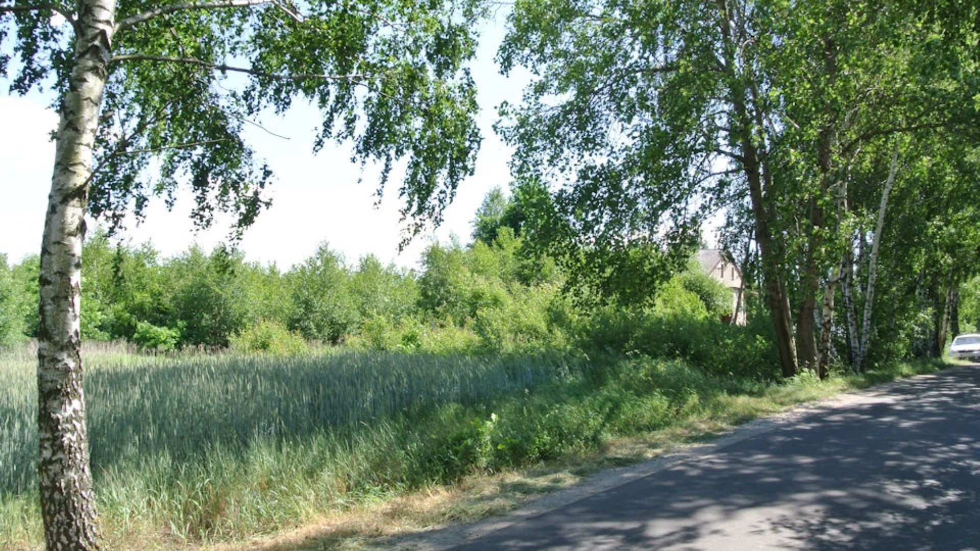 Działka na sprzedaż