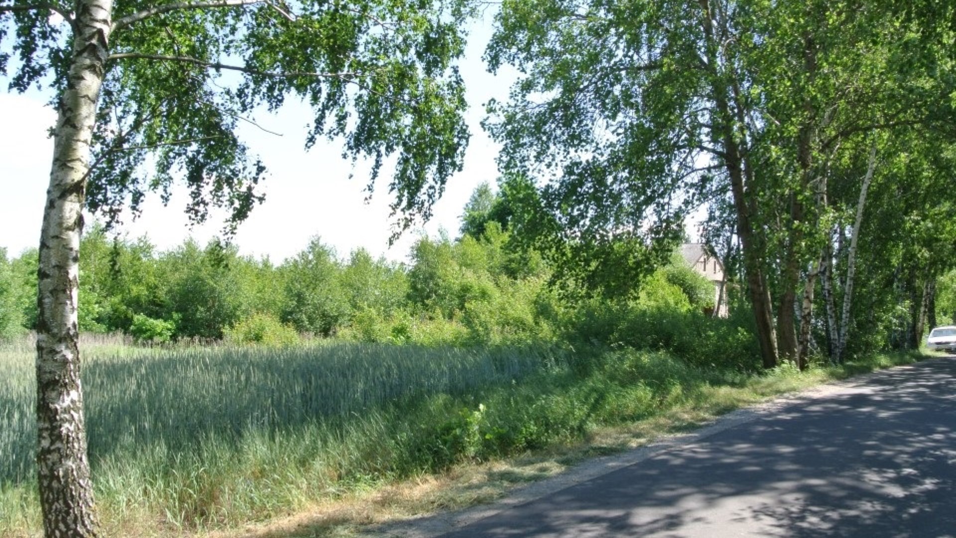 Działka na sprzedaż