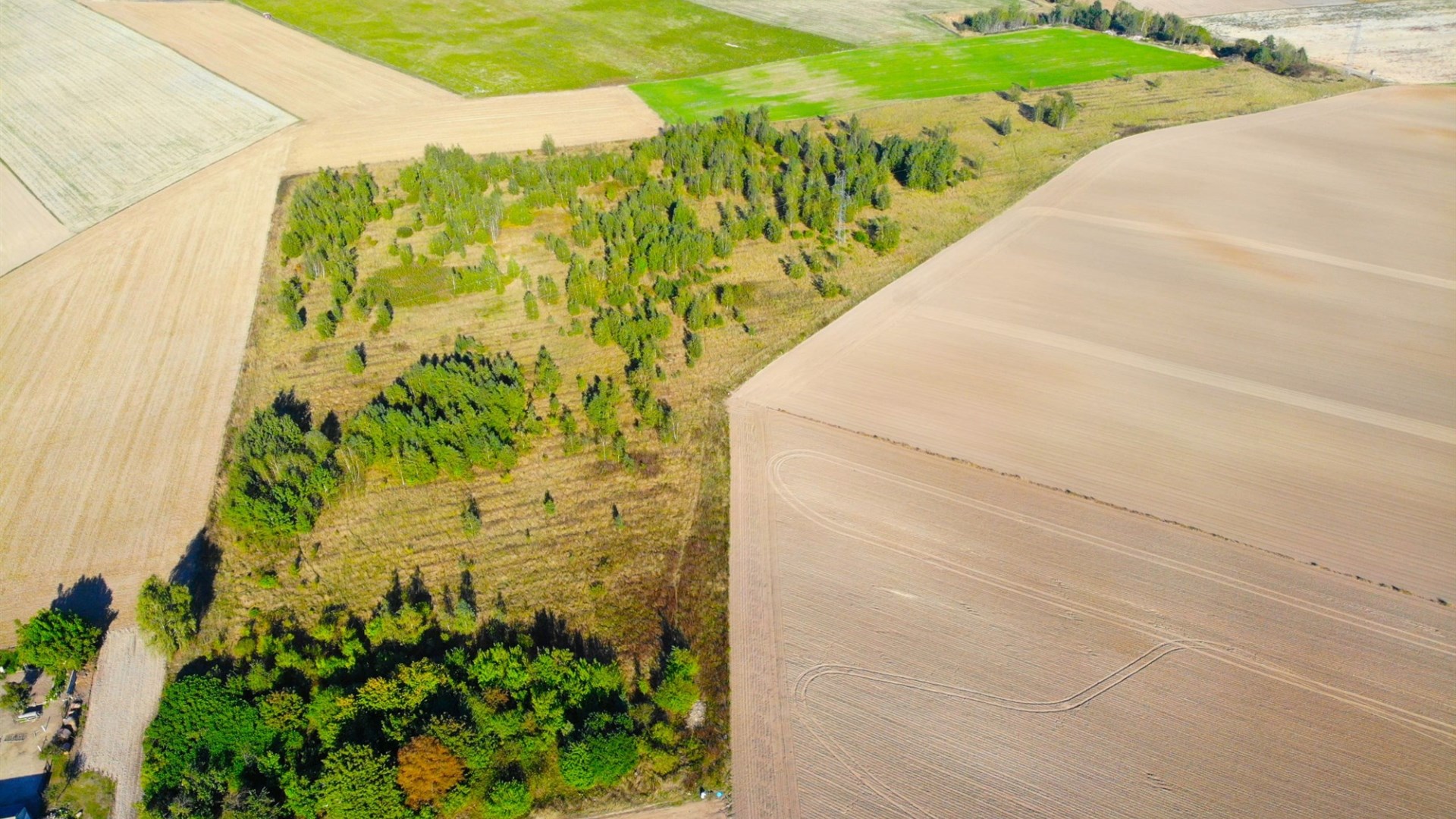 Działka na sprzedaż